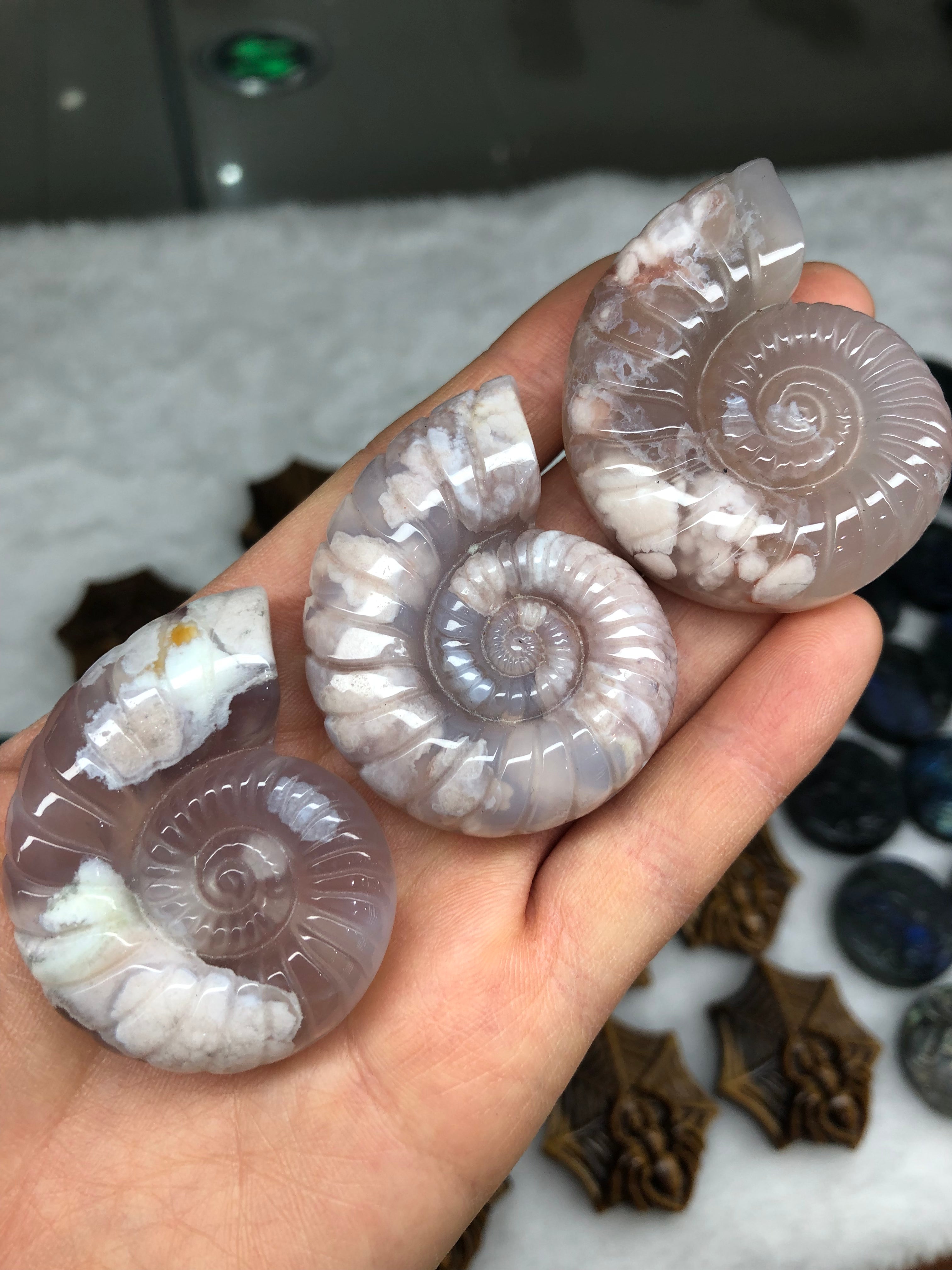 Crystal spiral shell