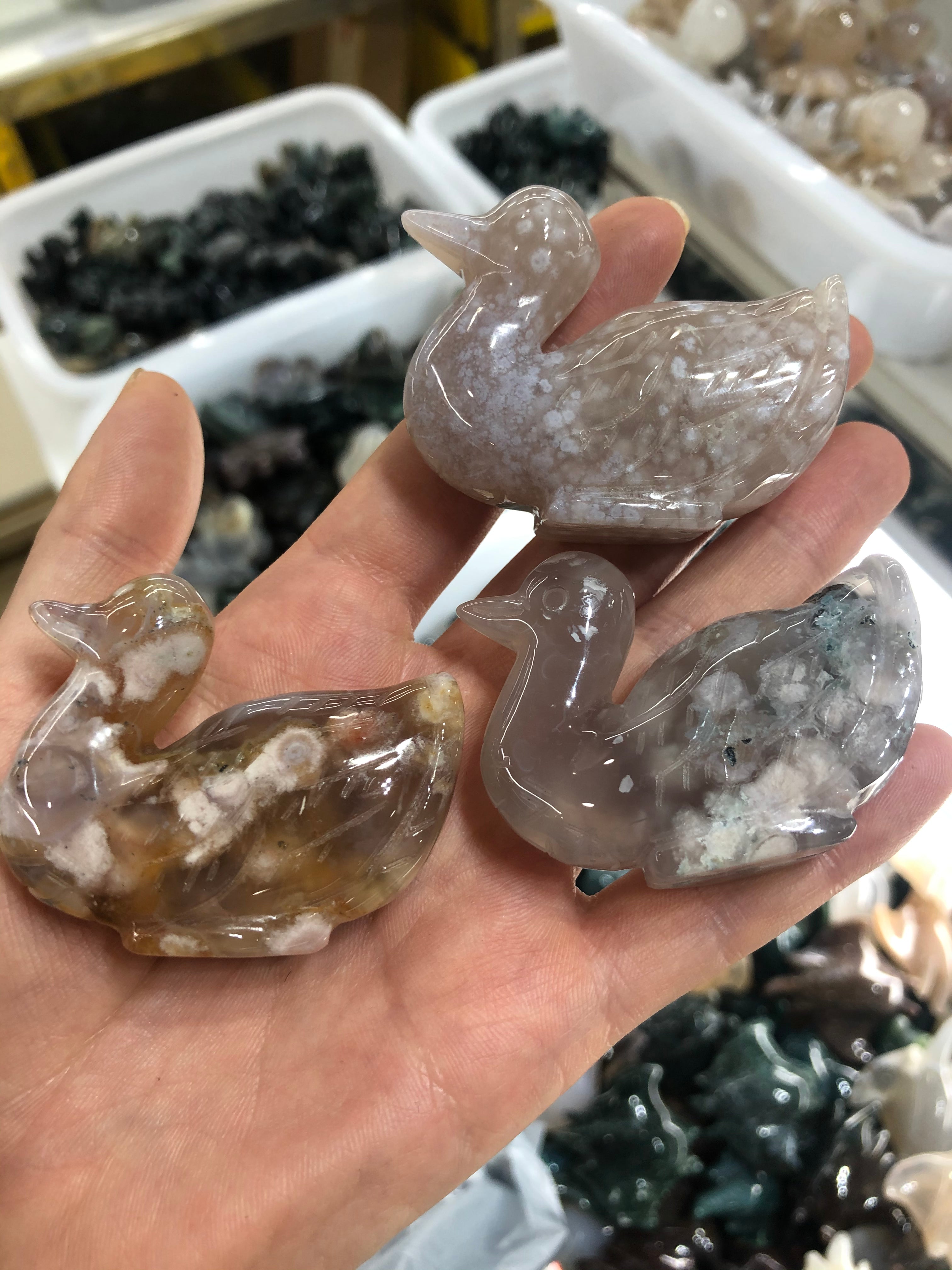 Crystal animals sea turtle/deer/owl/Manta/squirrel