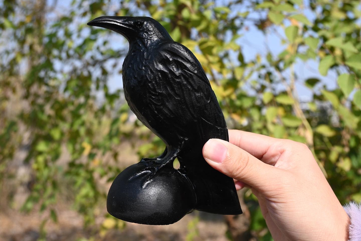 Obsidian crow/bird