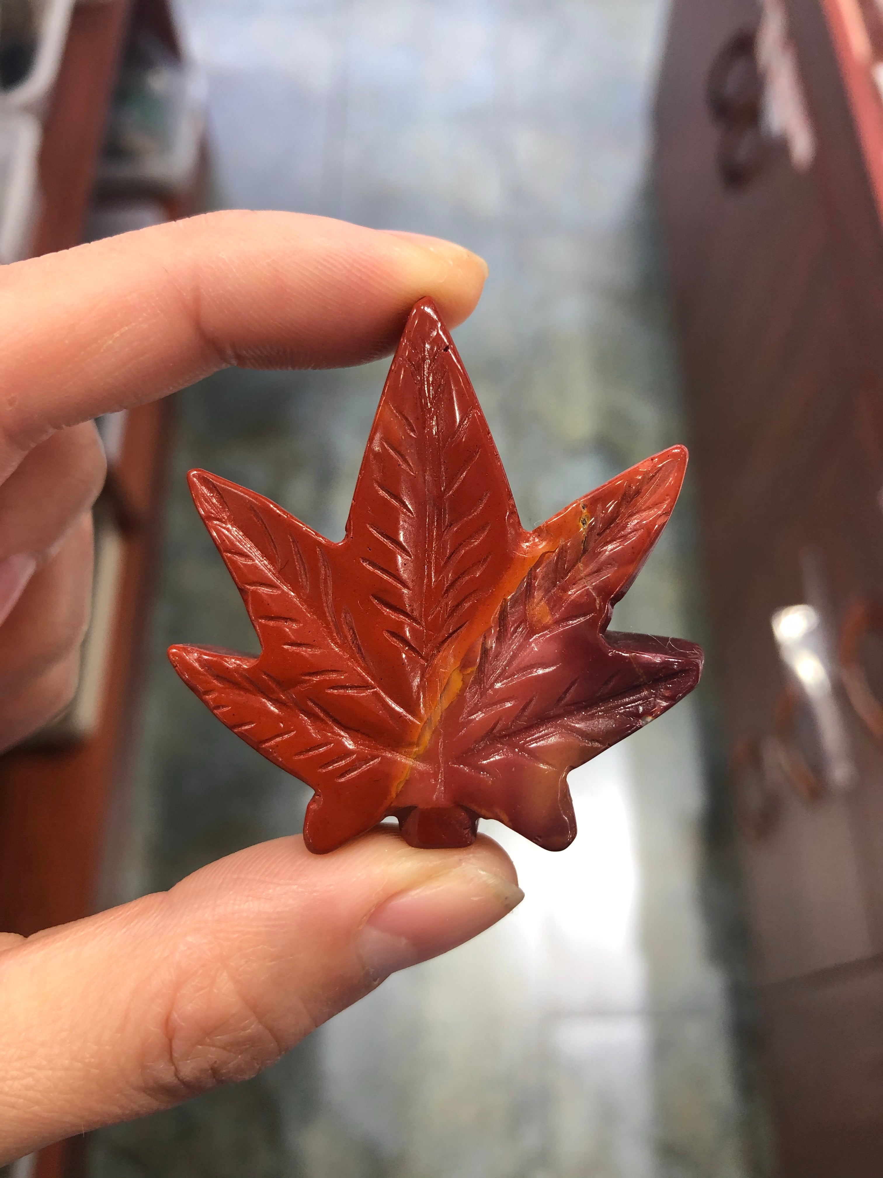 Maple leaf&Christmas leaves
